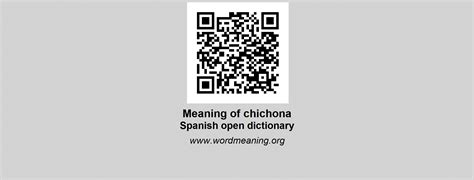 cochinadas in spanish|chichona meaning in spanish.